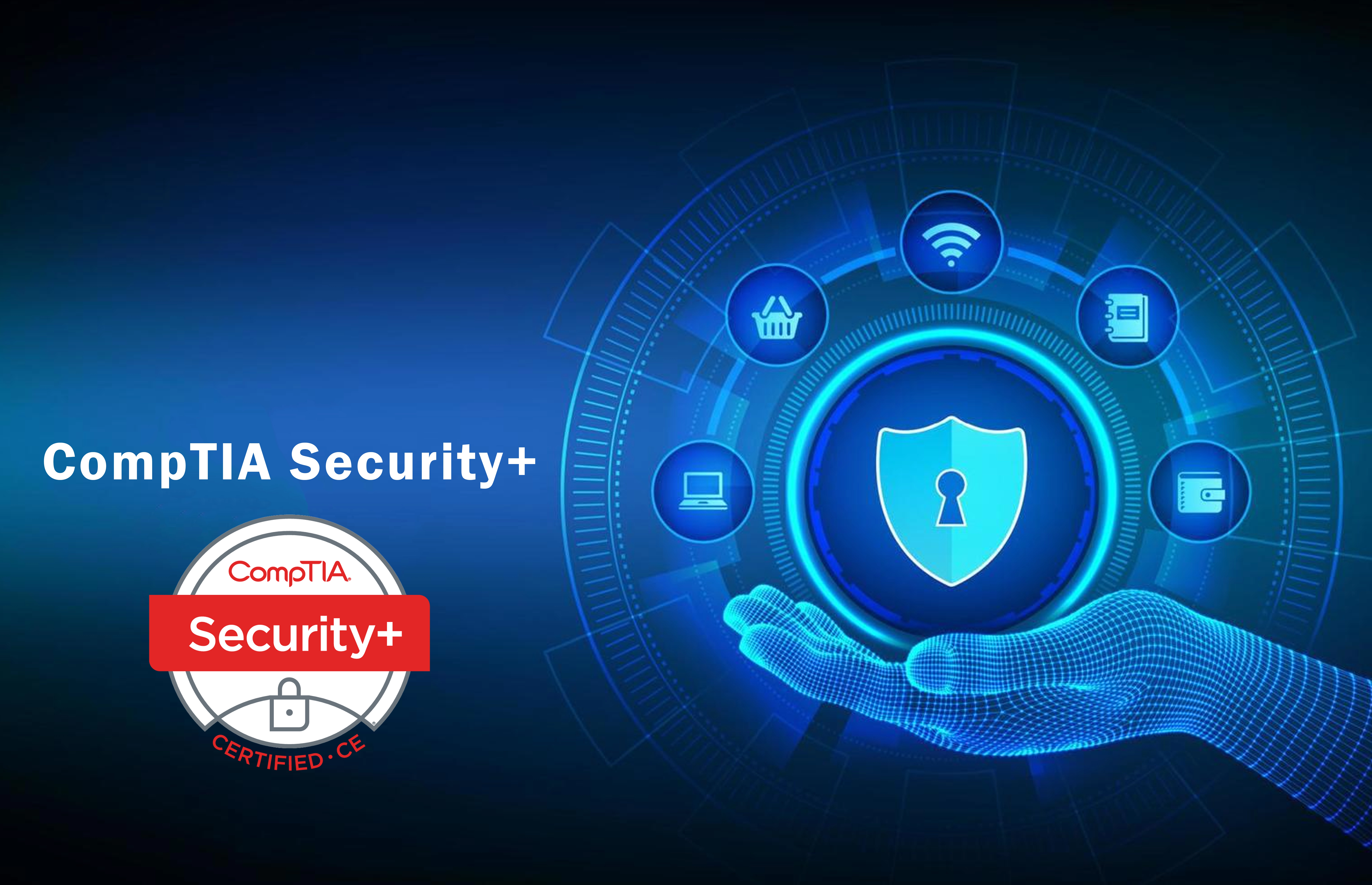 Network Penetration Testing